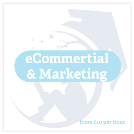 E-Commerce & Marketing